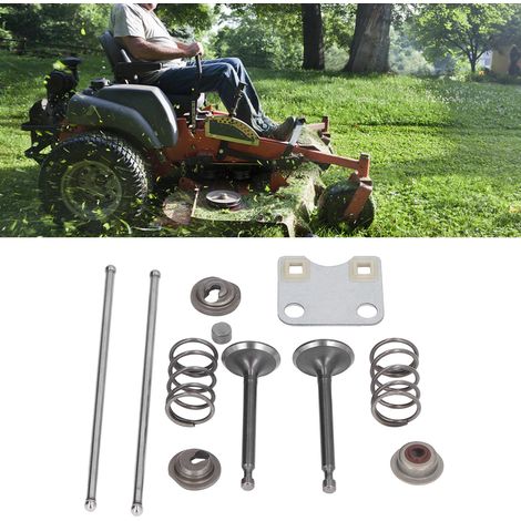 Kit de protection de plaque de soupape de remplacement OEM 14791-ZE1-010 pour moteurs Honda GX160 et GX200 5,5 CV et 6,5 CV, ressorts de soupape, etc. (1/5)