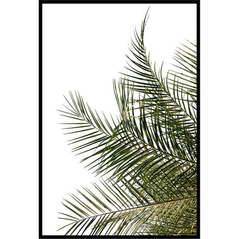 Affiche encadrée feuille de palmier minimaliste fond blanc
