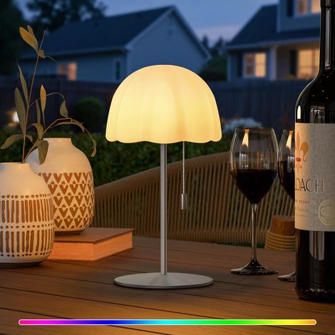 Lampe de Table Sans Fil, Intensité Variable, Lampe de Chevet Tactile LED Rechargeable pour Chambre Salon Camping Jardin Café Extérieur (1/5)