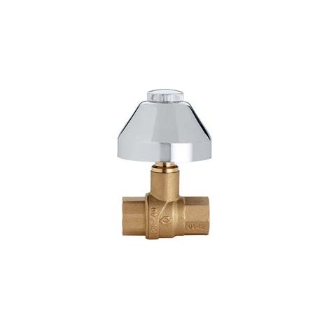 VALVOLA  A SFERA EVOLUTION FF CON CAPPUCCIO  FF 1/2    FIV