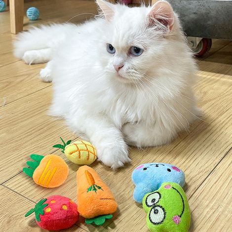 Katzenplüsch mit Katzenminze x 6, Katzenspielzeug, Spielzeug (1/2)