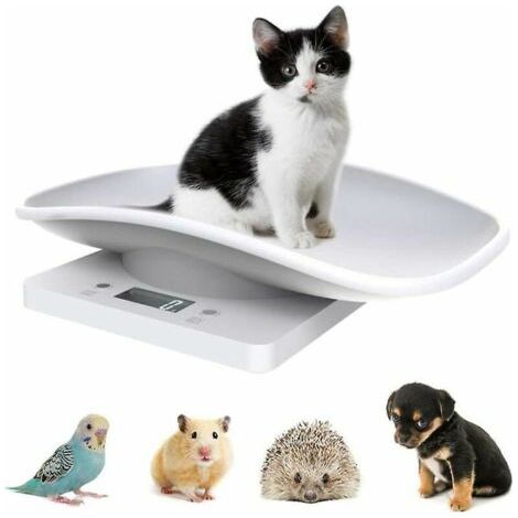 Balance Électronique pour Animaux de Compagnie, Petit Balance Numérique, 10kg/1g Écran LCD Balance Précision Mesure Outil Pesage pour Cuisine Chaton Chiots Tortue Hamster (1/5)