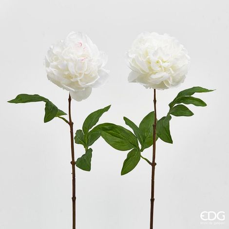 EDG Enzo De Gasperi Peonia Olis Ramo H 65 Cm 1 Pz Bianco
