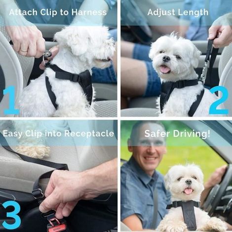 Ceinture de sécurité universelle pour chien indéchirable réglable 50–90 cm - lot de 2 (1/4)