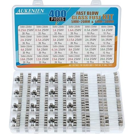 24 Values 400 Pieces Glass Fuses 5 x 20 mm 0.25 A 0.5 A 1.6 A 2 A 2.5 A 3 A 3.15 A 4 A 5 A 6.3 A 8 A 10 A 12 A 15 A 20 A 250 V 6.3 x 32 0.236 x 12 A .181 in 0.5A 1A 2A 3A 5A 10A 15A 20A 250V Fast Fusi (1/4)