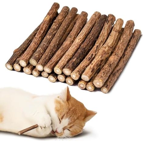 Jouets à mâcher pour chats, 20 bâtonnets à la cataire, bâtonnets naturels Matatabi Silvervine pour nettoyage dentaire et anti-stress chaton (8-10 mm) (1/5)