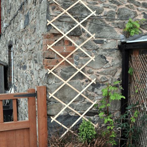 Garden Trellis 2ft x 6ft Expanding Wooden Garden Trellis Robust Climbing Plant & Vegetable Support Natural Wood (1/4)