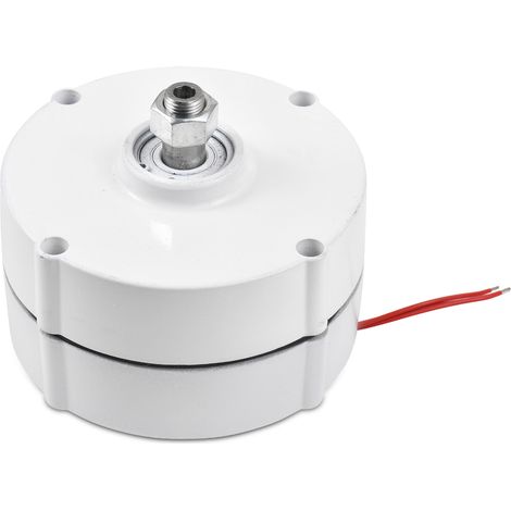 Alternatore a magneti permanenti NdFeB da 300 W, 750 giri/minuto, 12 V per turbine eoliche orizzontali o verticali, generatore CA trifase senza spazzole, efficienza ≥85% (1/4)