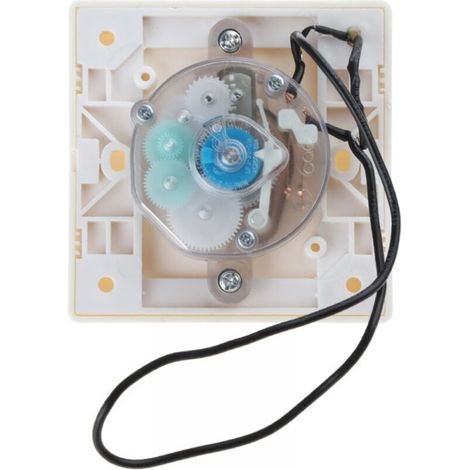 Minuterie 220 V, pompe haute performance, commande électronique, prise de compte à rebours mécanique, minuterie - 30 minutes, avec lumière (1/3)