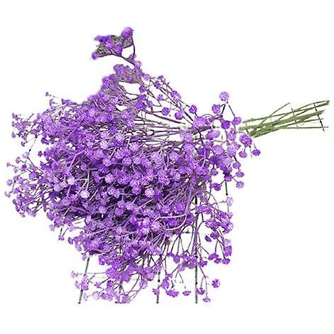 Bouquets de gypsophile artificielle réalistes au toucher réaliste en plastiqueviolet (1/5)