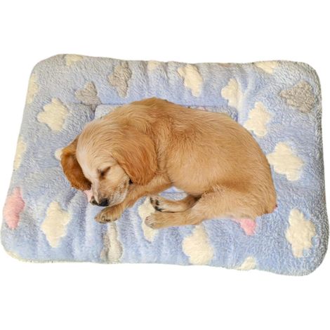 1 Couverture Chat Douce Flanelle Lavable Machine Anti-Stress Confort Sommeil Lit Animal