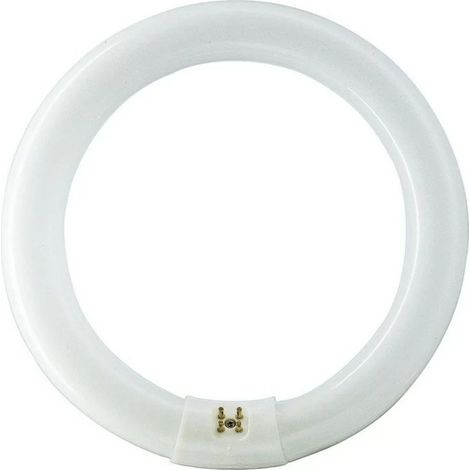 Philips 840551 Circular G10q 32W 865 MASTER TL-E Super 80 Bulb