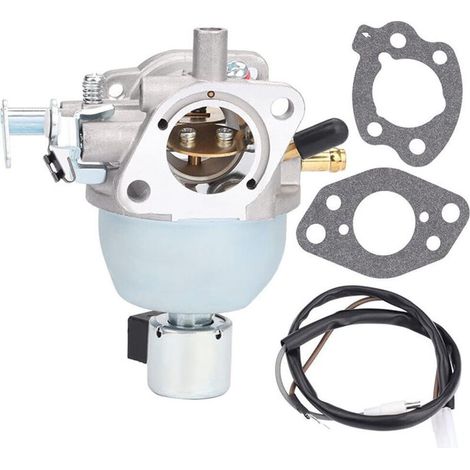 Briggs & Stratton Vergaser 846944 847395 808725 350777 für Rasenmäher (1/5)