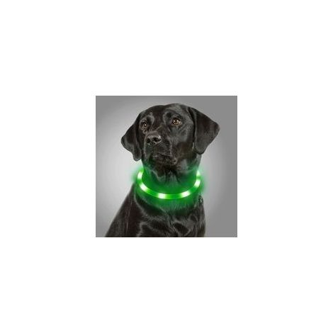Collier LED pour chien rechargeable USB, sécurité clignotant, vert – (1/5)