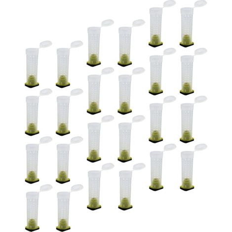 Cage D'élevage D'abeilles Ventilation en Plastique 30 Pièces Structure en Maille et Protection Anti-morsure pour Apiculteurs