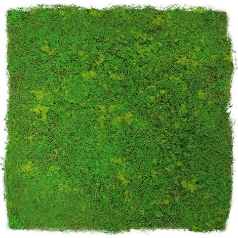 JANGAL Modular Wall Akustik 3D Paneele  520 x 520 mm Light Green Fibre Design Moos Kunst Pflanzwand Moospaneele
