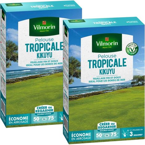 Pelouse Tropicale - Kikuyu - 500 g (x2) Vilmorin