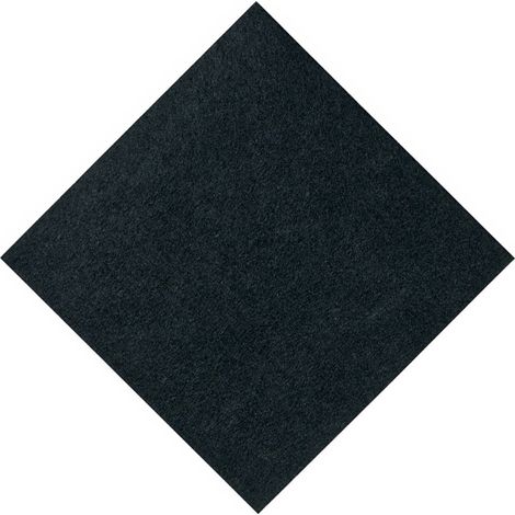 Filtre devant (36775-58140) (00419959) Aspirateur BOSCH, SIEMENS