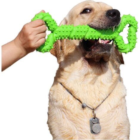 Chien Jouets à mâcher Résistant en Caoutchouc 12 inch interactif Solide pour Les Chewers Agressifs Petits et Grands Chiens (1/5)