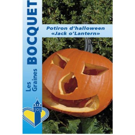 Potiron 'Jack O'Lantern' le sachet de 20 graines environ (3g) (1/2)