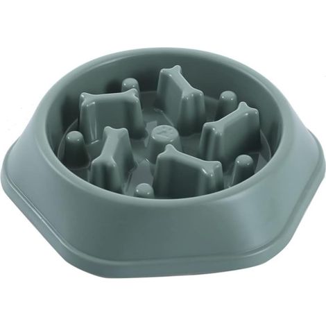 Gamelle d’alimentation lente pour chien et chaton, bol de nourriture lente – Animaux, couleur vert–DELKEVIC (1/5)