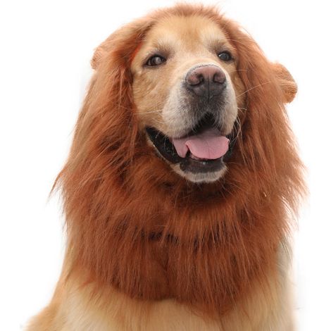 1 housse pour tête de lion, en polyester, pour chiens, Halloween, costume amusant, réaliste, marron foncé (1/5)