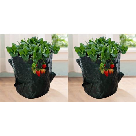 Strawberry Grow Bags, 2PCS 18L/5 Gallon Vegetable Bags, Non-woven Fabric Planting Bag with Window, Garden Vegetable Bag (23X28CM (4 ports)) (1/5)