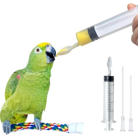 Maisseur manuel, lait, aliment liquide, réutilisable, tête de cuillère + tube alimentaire de 8 cm + tube d'alimentation de 12 cm + seringue 20 ml