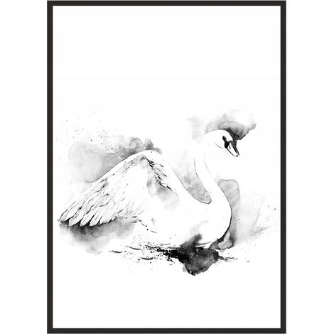 Bild Poster im Rahmen 53x73 cm Schwan P748 (1/4)
