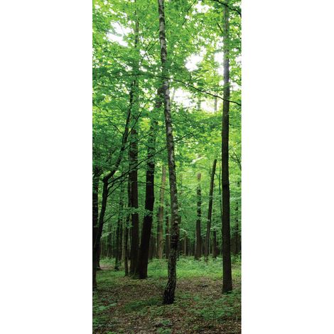 Forest, intissé photo mural, 90 x 202 cm, 1 part (1/3)