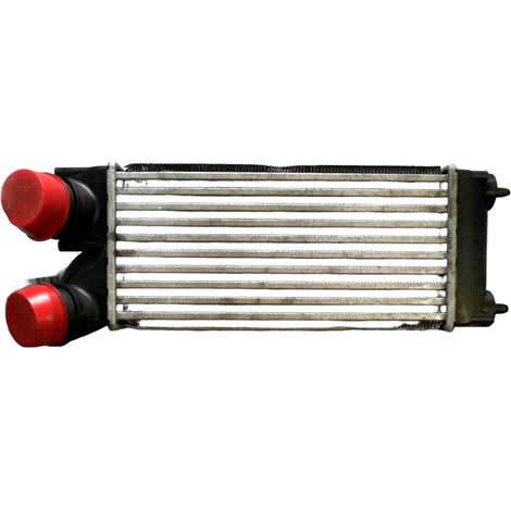 Echangeur Air CITROEN C4 [PRODUIT D'OCCASION]♻️0384l4 (1/2)