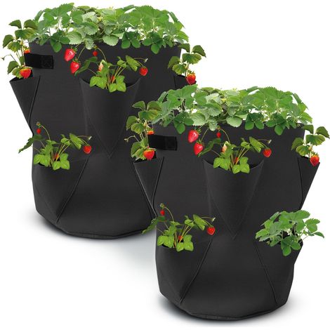 Lot de 2 Sacs de Plantation de Fraises en Feutre - 45 x 35 cm - Sac de Plantation pour Fraises et Petits légumes - Sac pour Jardins, balcons, Plantes, Sacs pour Fraises, ail, oignons, Herbes (1/3)