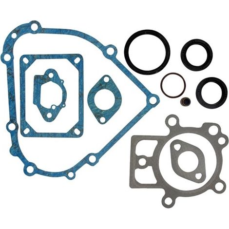 Pochette de joints BRIGGS ET STRATTON 798800