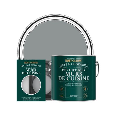 Peinture pour Murs de Cuisine, Finition Mate - Anthracite Moyen (1/2)