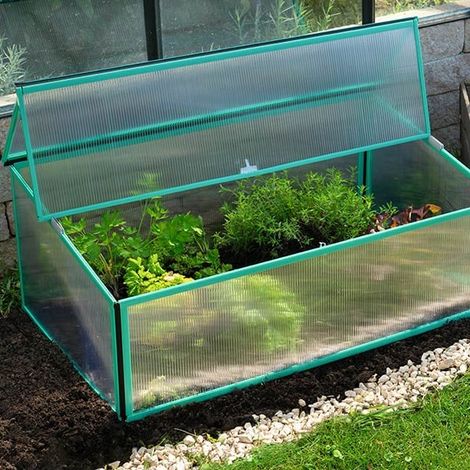 Mini serre Levana 1 - Structure 0.5m² en alu et polycarbonate 4 mm, Couleur Violet