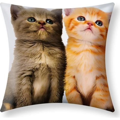 Housses de coussin - AVIZAR - Lot de 2 - 40x40 cm - Motif Deux Chatons - Multicolore (1/5)