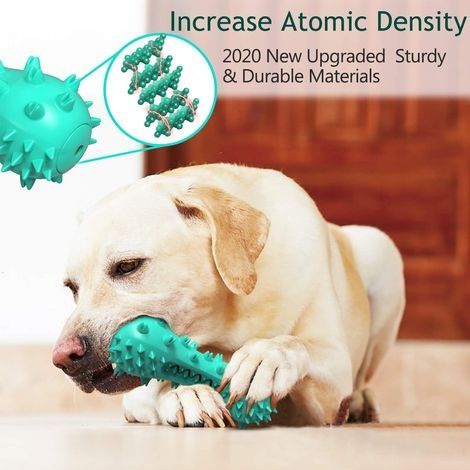 Brosse a Dent Chien, Jouet à Macher pour Chien, Résistant à la Morsure Baton de Nettoyage des Dents en Caoutchouc pour Petits et Moyens Chiens (Bleu) (1/5)