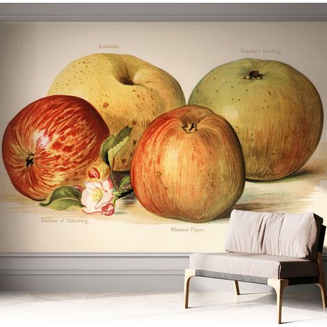 Selbsthaftend Tapete für Wohnzimmer Schlafzimmer Küche - Wanddekoration Äpfel und Blumen 312x219 cm (1/5)