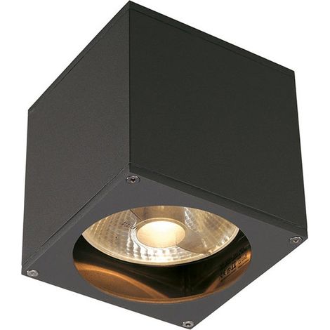 Applique extérieure BIG THEO gris GU10/QPAR111 75W max IP44 - SLV - 229565