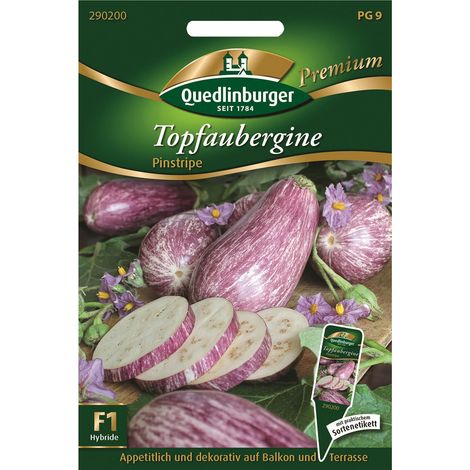 Quedlinburger Saatgut – Aubergine en pot « Pinstripe » – Graines de légumes, fruits rayés de violet, bac de 30 cm min. (1/2)