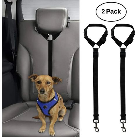 Laisse pour chien avec poignée rembourrée confortable, noire (1/5)