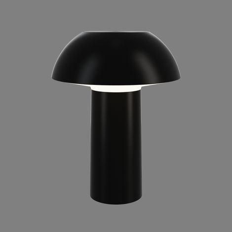 Lampe LED portable compacte USB (1/4)