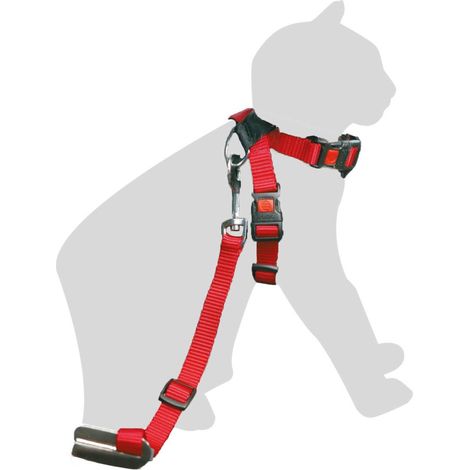 Harnais de Sécurité voiture + laisse Rouge 15 mm pour Chat - Flamingo