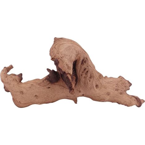 XL Mopani Wurzel Nr.4654 Holz Deko Aquascaping