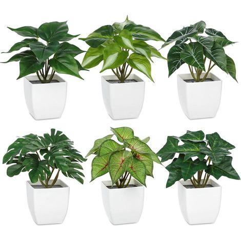 Kunstpflanzen 6er Set Zimmerpflanzen Topf 15 cm Type4 (1/5)