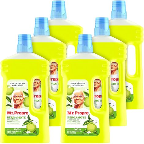 Nettoyant Liquide Sol Multi-Usages Parfum Bergamote 1L x6 (1/5)