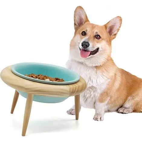Gamelle surélevée en céramique pour chien et chat, réglable et inclinable, avec support intégré (3 modes d'installation adaptés aux animaux de tous âges), bleue (grande taille).