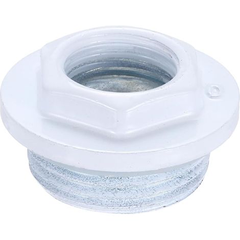 Réducteur pour radiateur bouchons en fonte pour radiateur blanc (1/5)