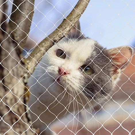 Filet de Protection Chat, 2 x 3 m, Filet Chat Balcon Renforcé, Robuste, Résistant aux Morsures, Résistant au Vieillissement, (blanc 2 x 3 m) (1/5)