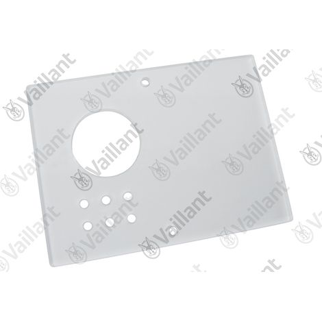 Voyant Vaillant